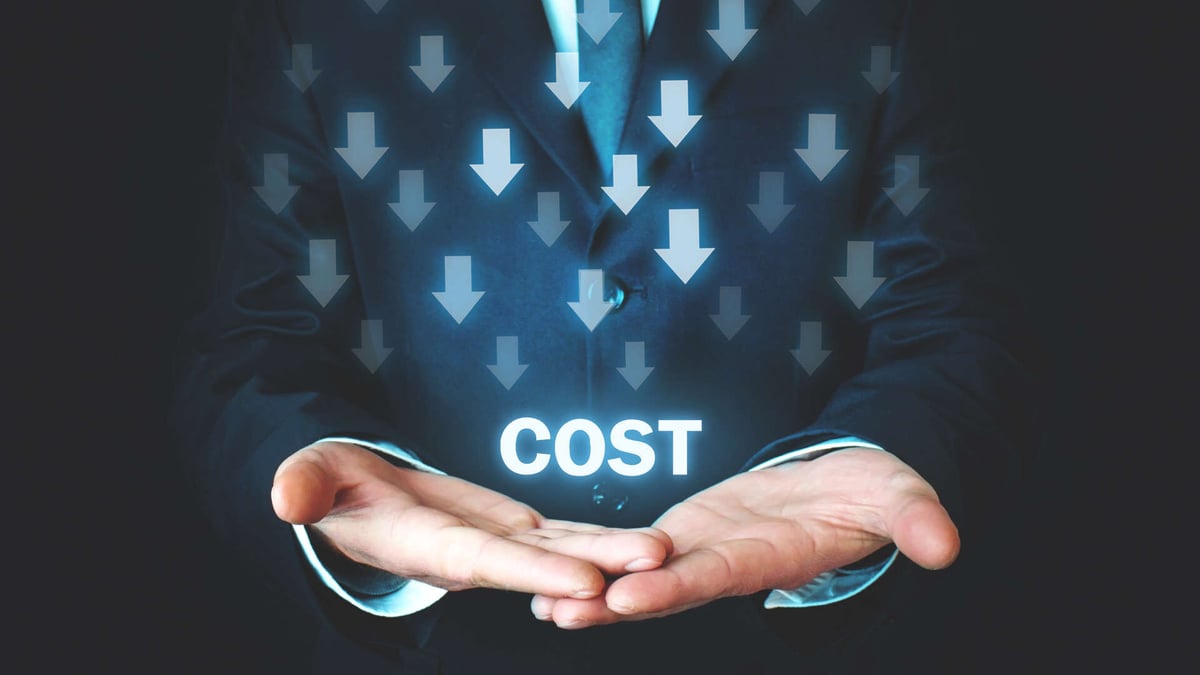Cost Optimization in an Agile Age