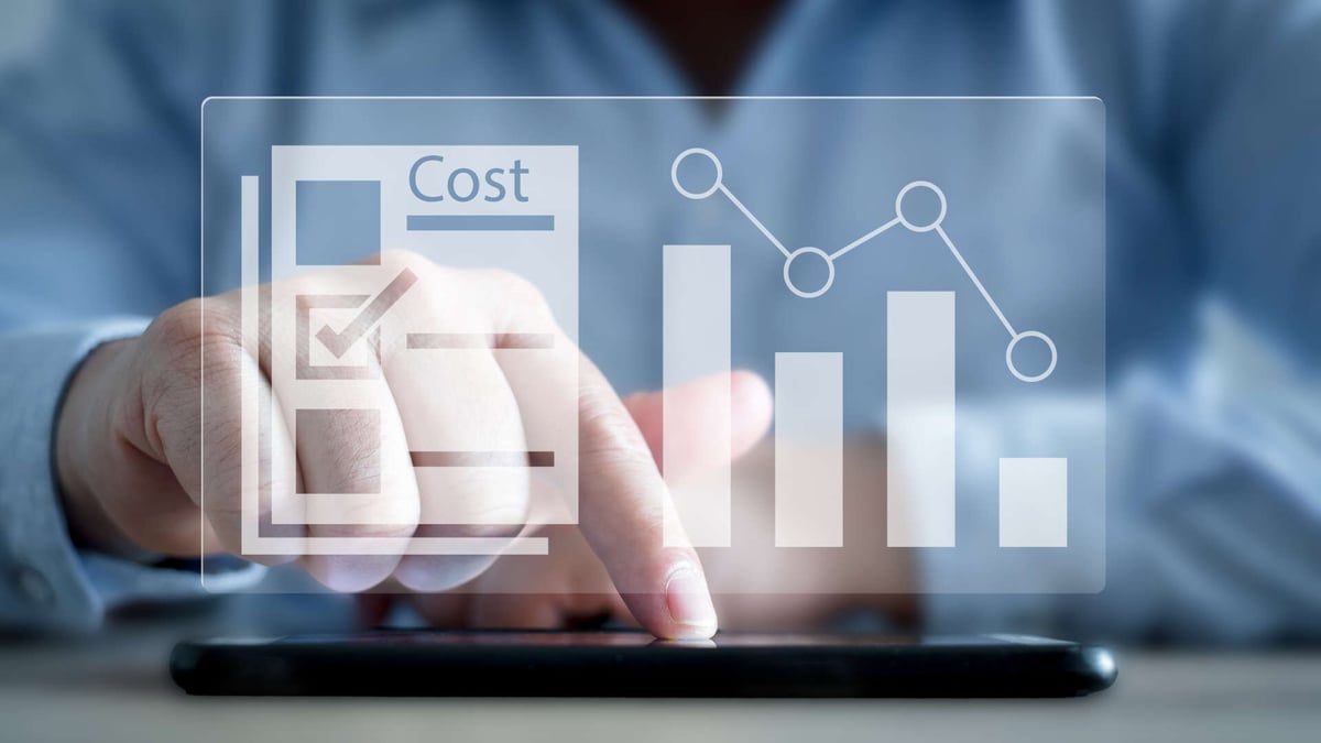 Deploying Cost Optimization Strategies to Drive M&amp;A Synergies