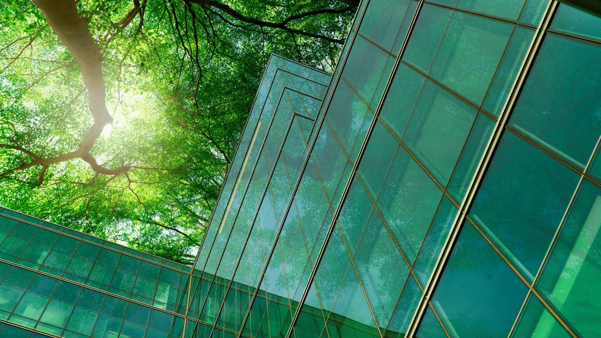 John &amp; John Episode 24: Go Green with Sustainable IT