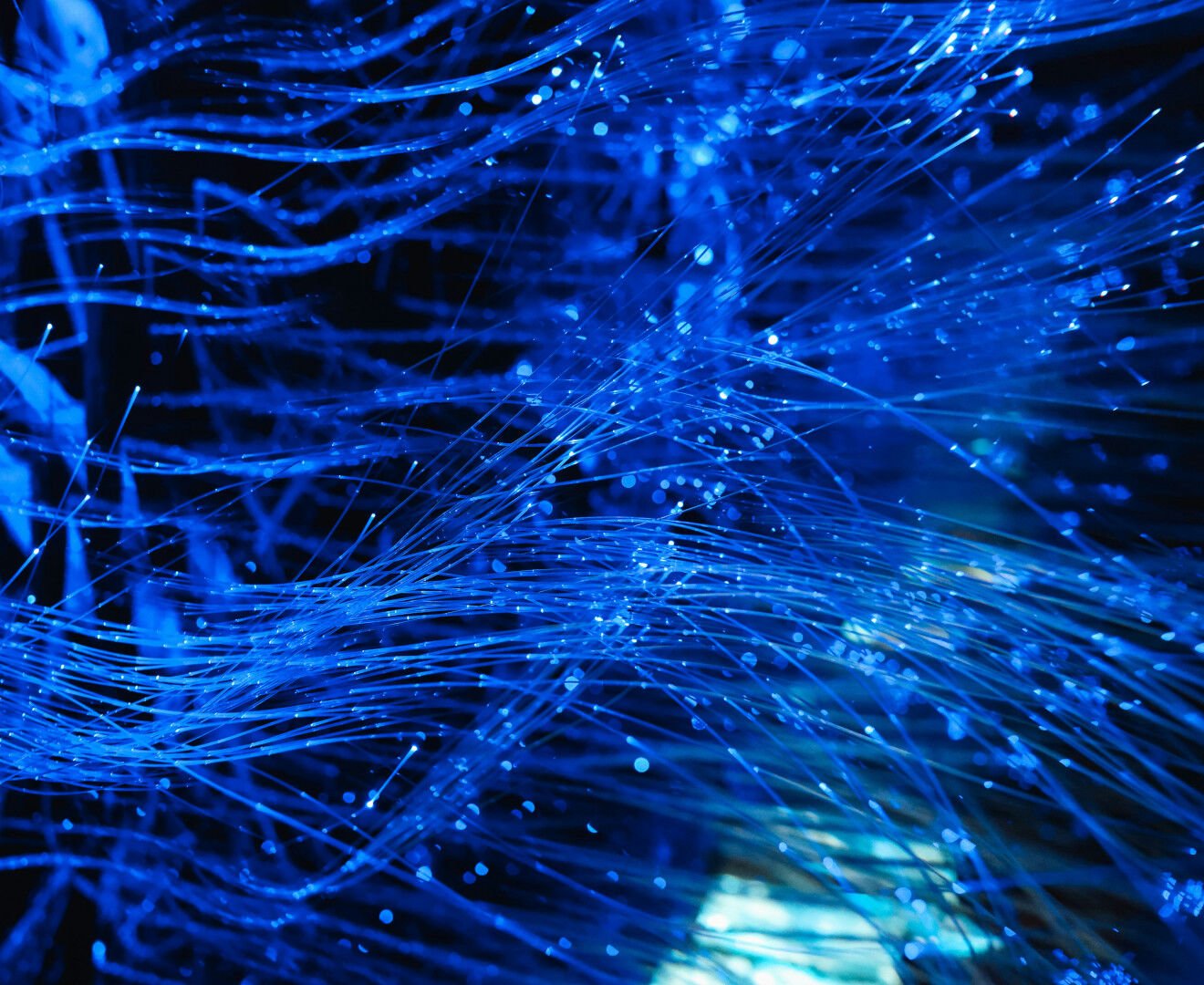 2026 SAP Report unsplash