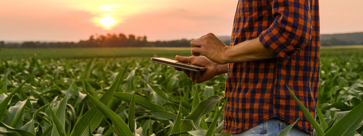 Agriculture-OCM-Case-Study Agriculture-OCM-Case-Study