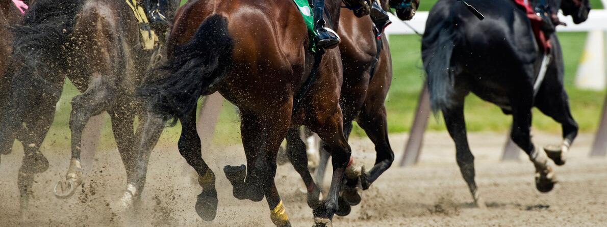 CIO-Racing-Form CIO-Racing-Form