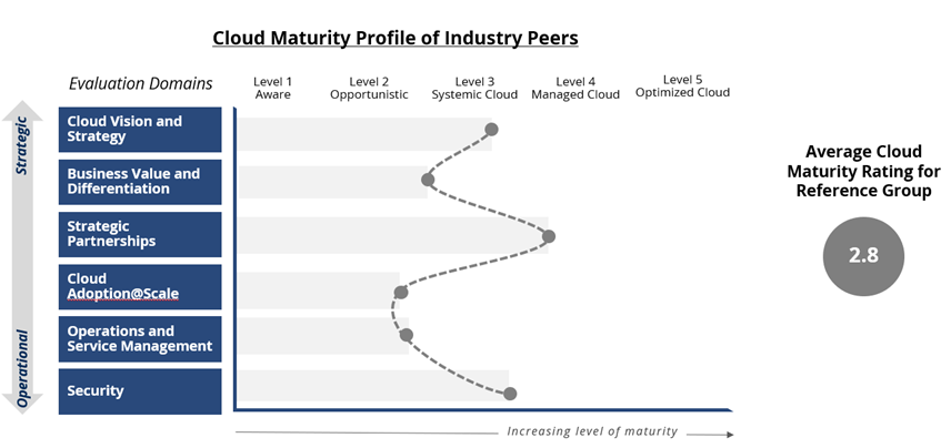 cloud-maturity-profile
