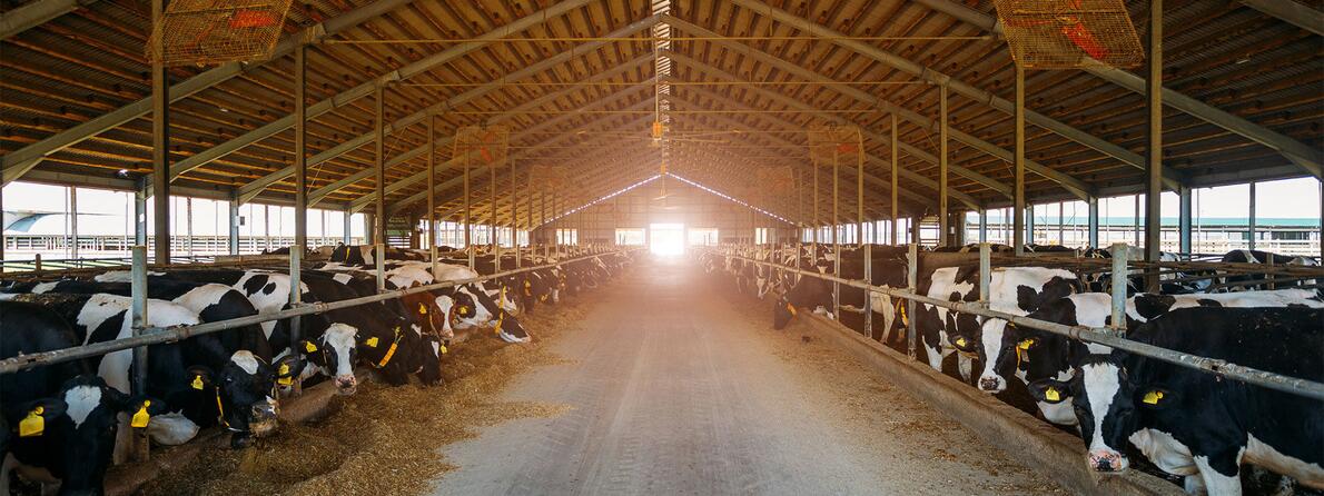 Digital-Technology-Farms Digital-Technology-Farms