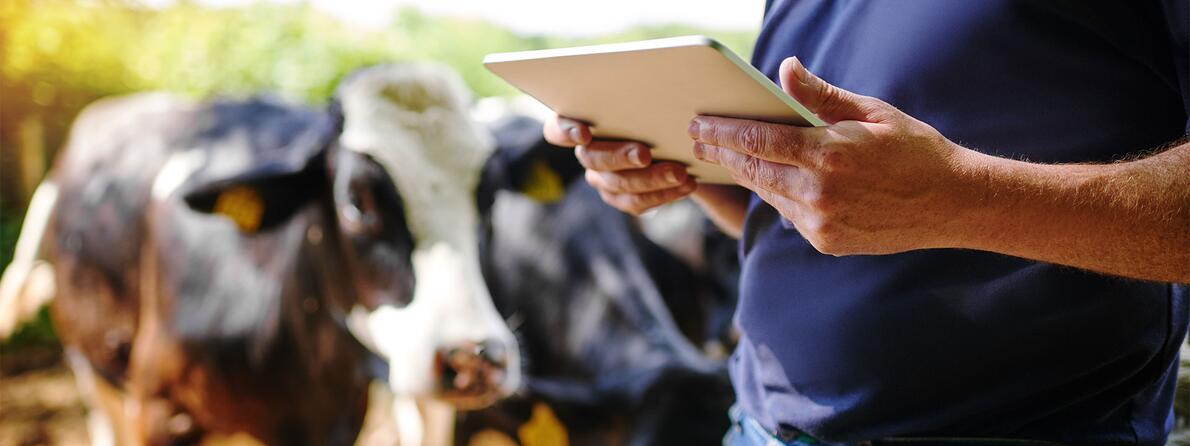 Future-Training-Learning-Dairy Future-Training-Learning-Dairy