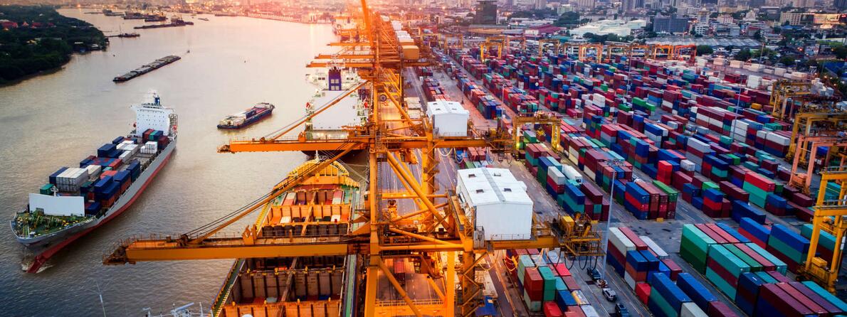 Managing-Supply-Chain-Pandemic Managing-Supply-Chain-Pandemic