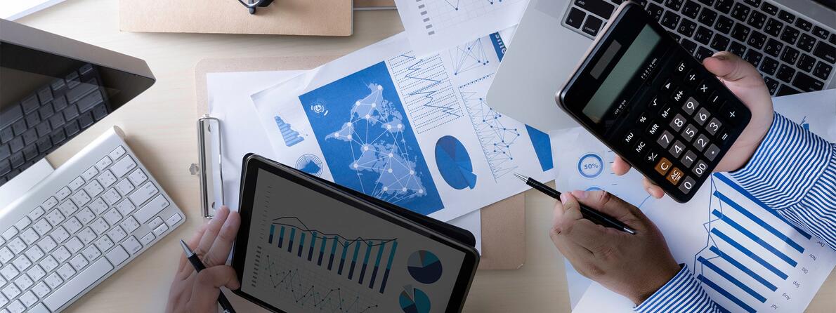 Software-Audit-Rules-Engagement Software-Audit-Rules-Engagement